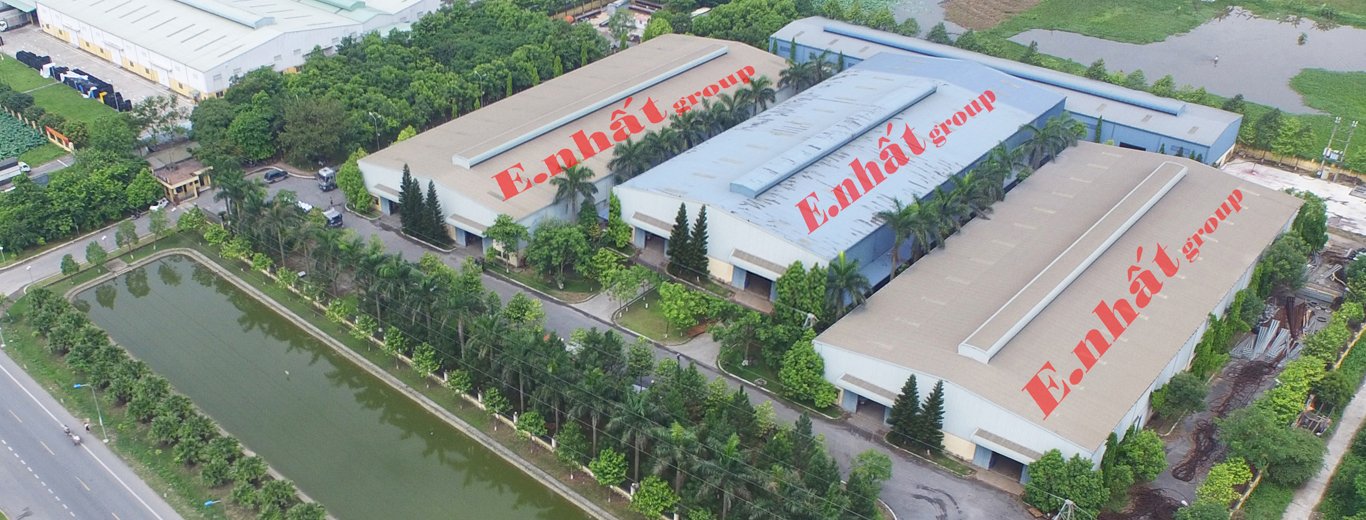 lĩnh vực hoạt động